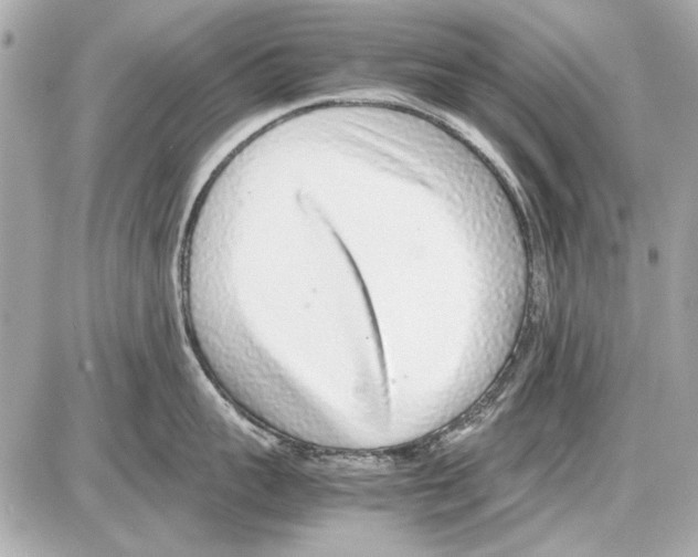 X0000085310959200704092320