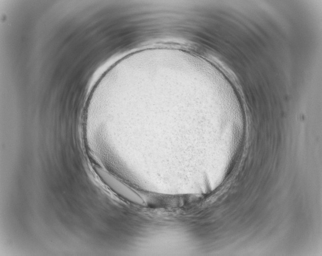 X0000085310960200704092320