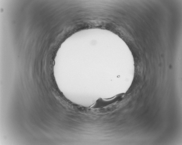 X0000085310961200704092319