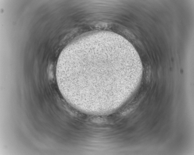 X0000085310962200704092319