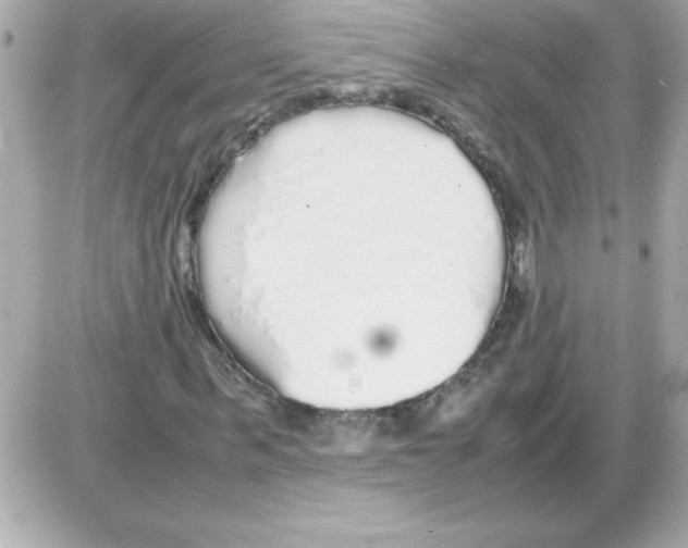 X0000085310963200704092319