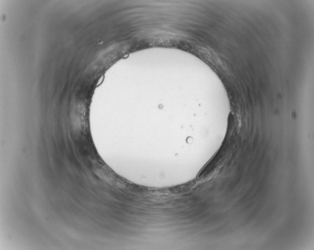 X0000085310964200704092319