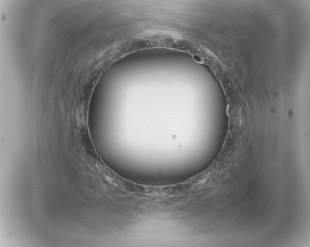 X0000085310965200704092319