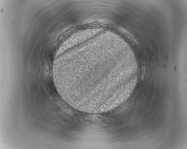 X0000085310966200704092319