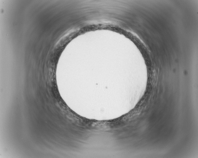 X0000085310967200704092319