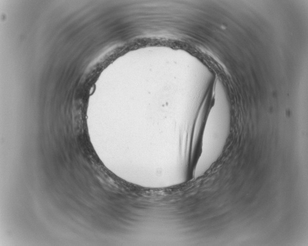 X0000085310968200704092319