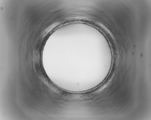 X0000085310969200704092319