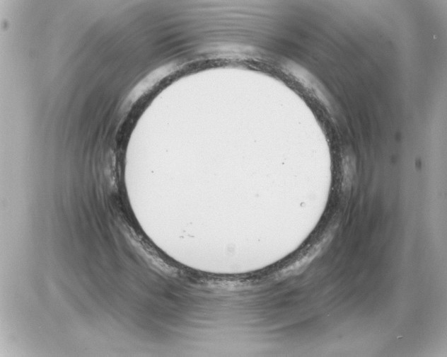 X0000085310970200704092319