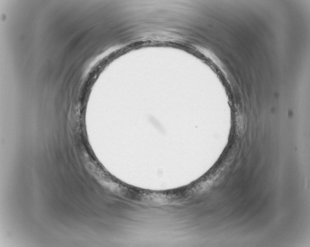 X0000085310971200704092319