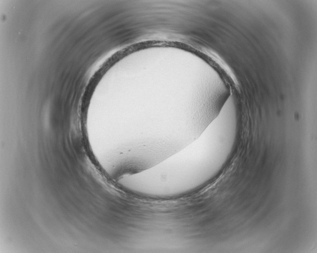 X0000085310972200704092319