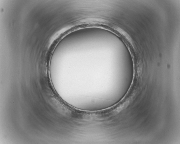 X0000085310973200704092319