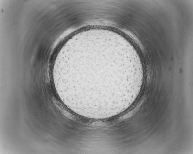 X0000085310974200704092319