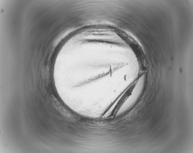 X0000085310975200704092319