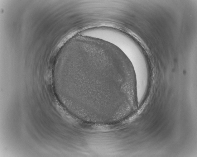 X0000085310977200704092319