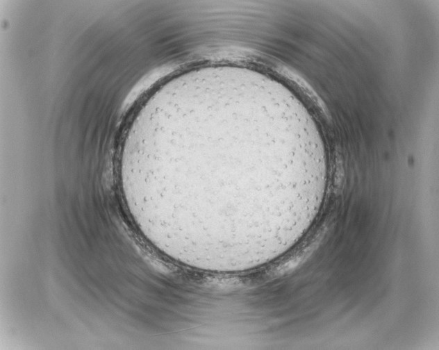 X0000085310978200704092319