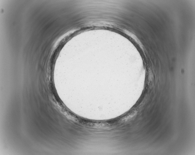 X0000085310979200704092319