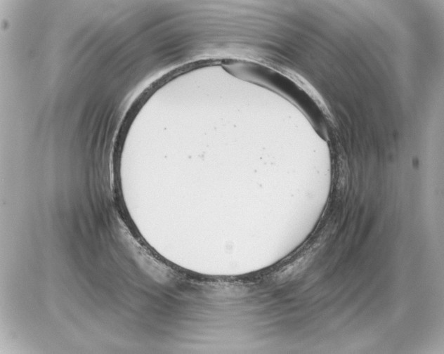 X0000085310980200704092319