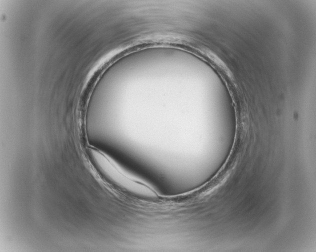 X0000085310981200704092319