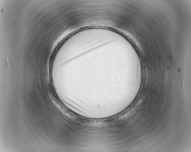 X0000085310982200704092319