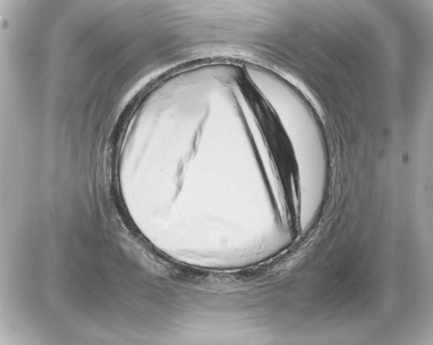 X0000085310983200704092319