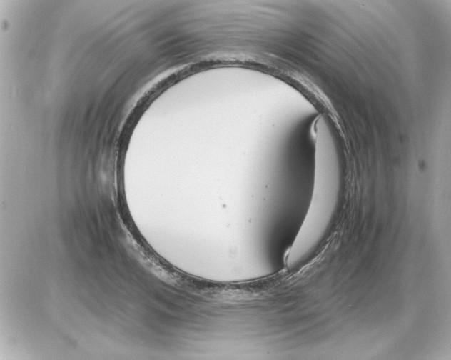 X0000085310984200704092319