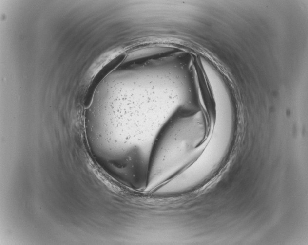 X0000085310985200704092319