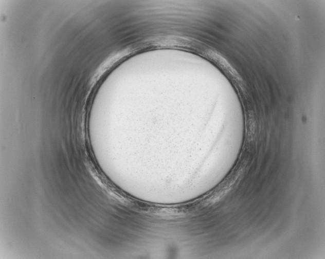 X0000085310986200704092319