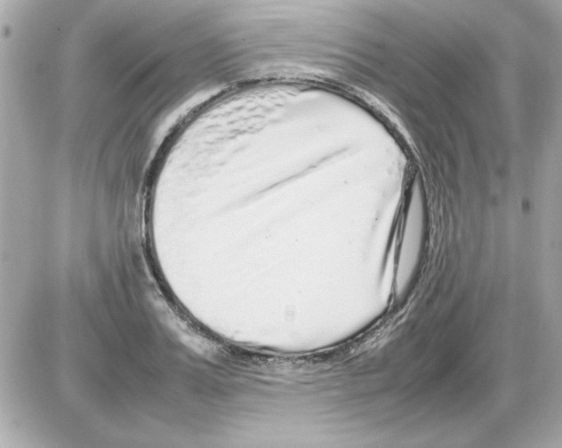 X0000085310987200704092319