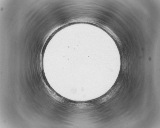 X0000085310988200704092318