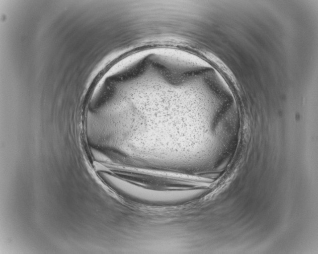 X0000085310989200704092318