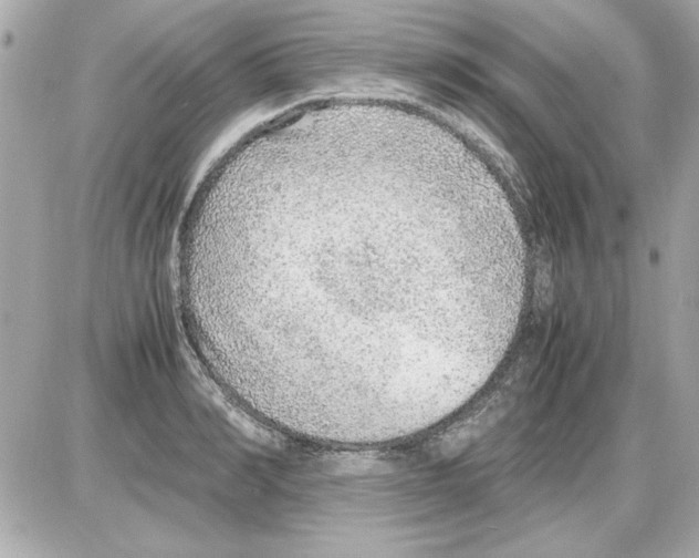 X0000085310990200704092318