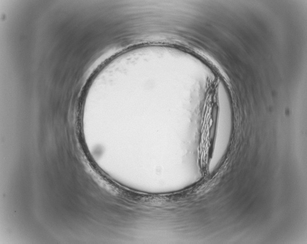 X0000085310991200704092318