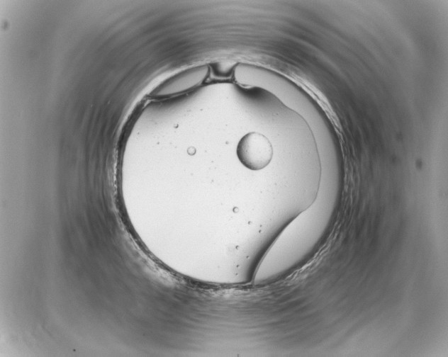 X0000085310992200704092318