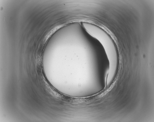 X0000085310993200704092318