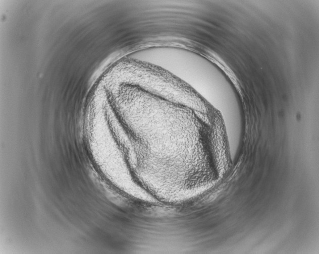 X0000085310994200704092318