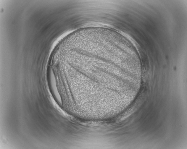 X0000085310995200704092318