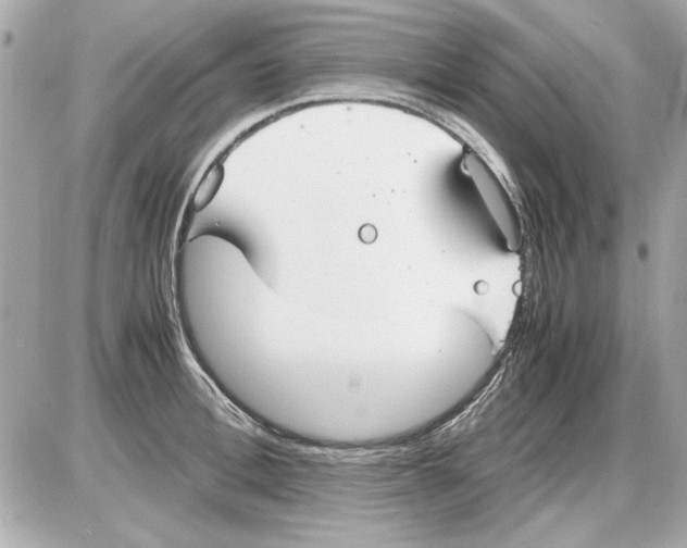 X0000085310996200704092318