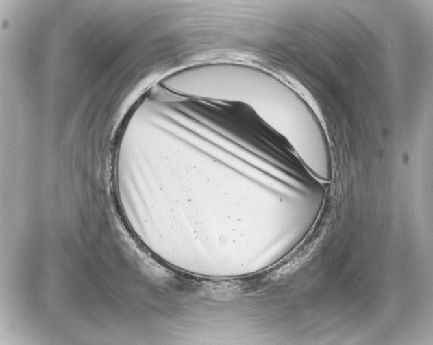 X0000085310997200704092318