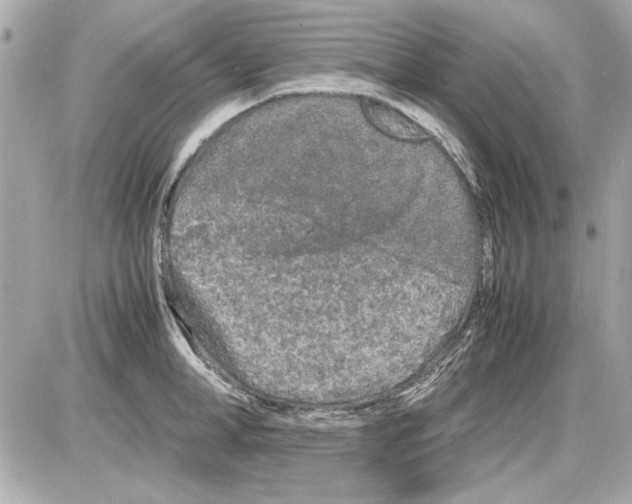 X0000085310998200704092318