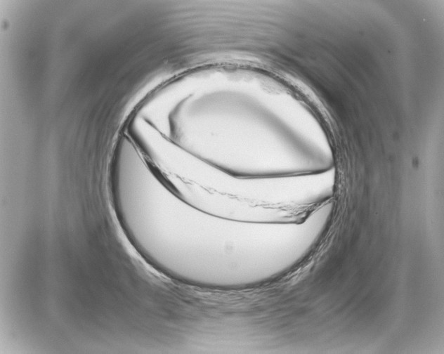 X0000085310999200704092318