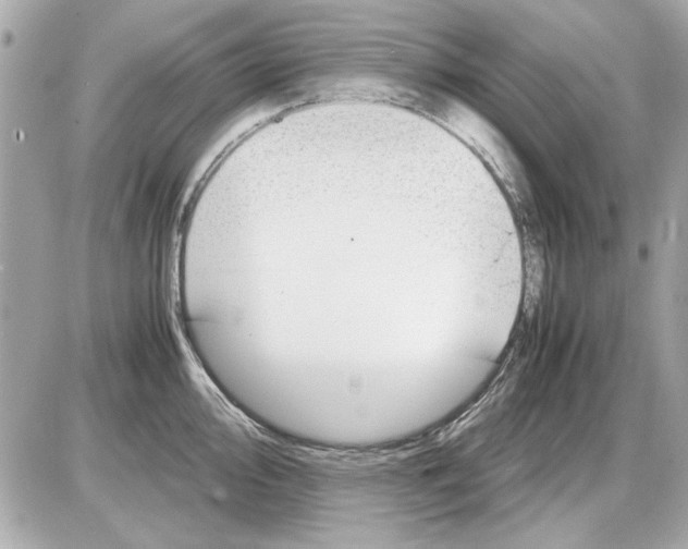 X0000085311000200704092318