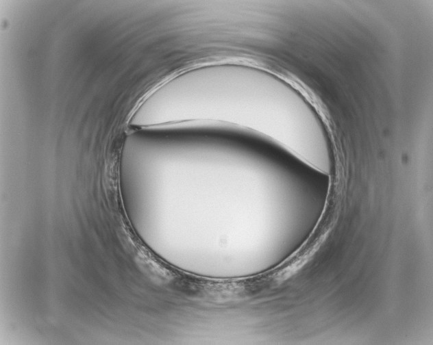 X0000085311001200704092318