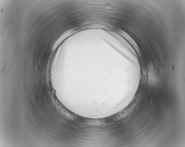 X0000085311002200704092318