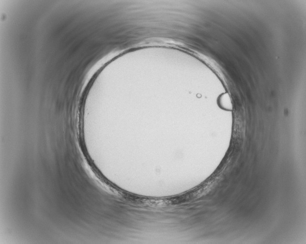 X0000085311003200704092318