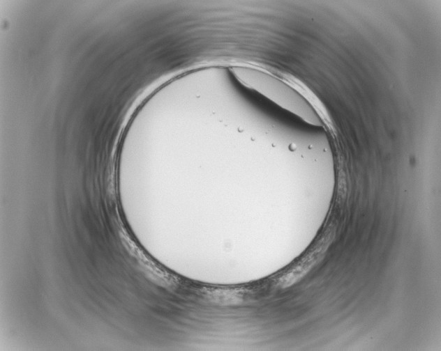 X0000085311004200704092318