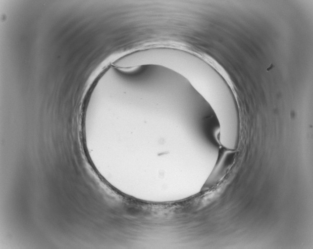 X0000085311005200704092318