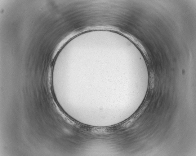 X0000085311006200704092318