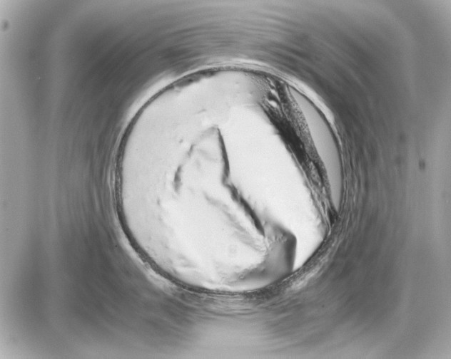 X0000085311007200704092318