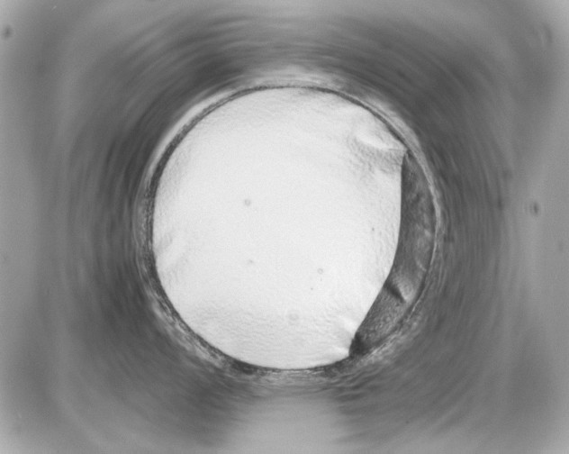 X0000085311008200704092318