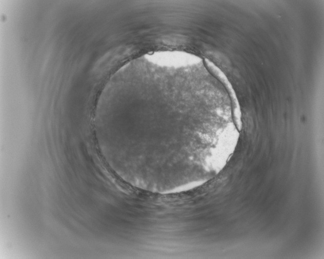 X0000085311009200704092317